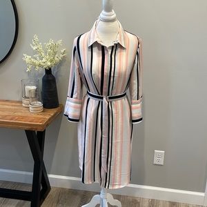 The Limited Button Down Dress